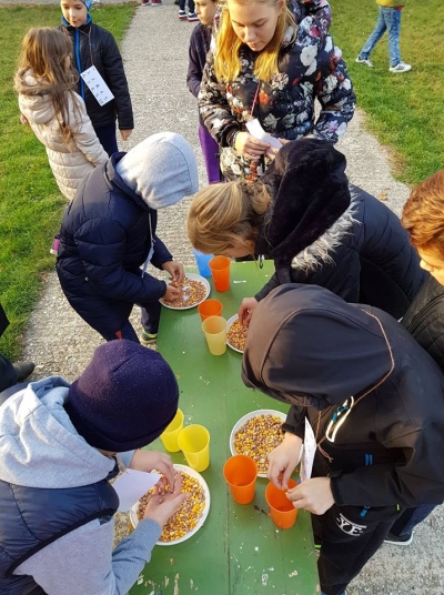 Image in photogallery