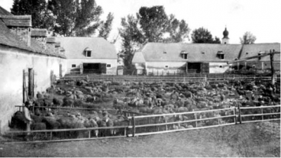 Image in photogallery