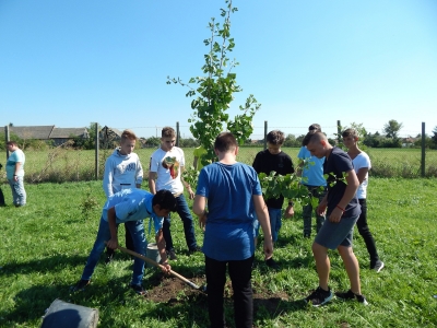 Image in photogallery