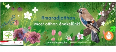 Image in photogallery